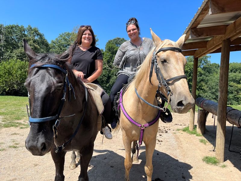 Horses With Personalities All Their Own