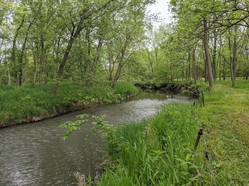 Horseshoe Bend (Roanoke, IL) Horseshoe Bend (Roanoke, IL)