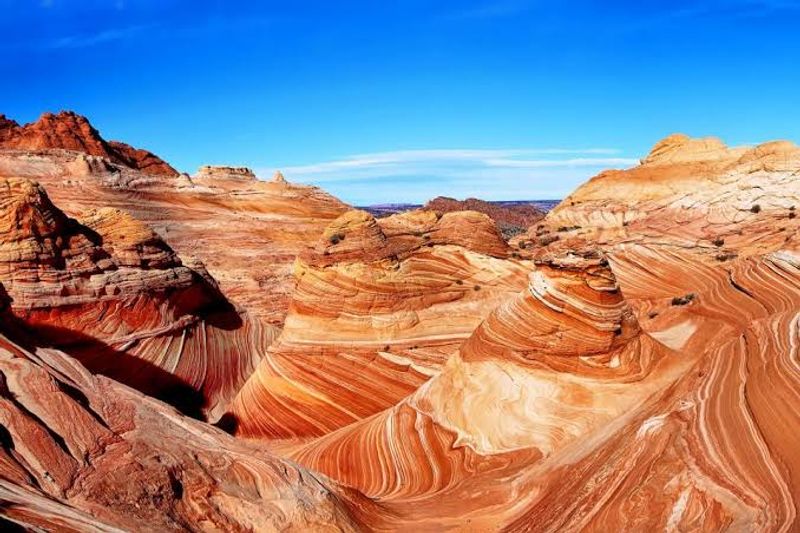 The Wave (Coyote Buttes North)