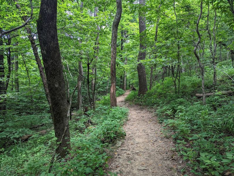 Mount Magazine State Park Hiking