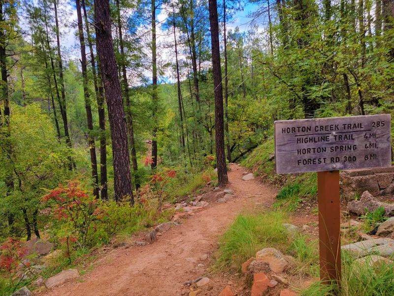 Horton Creek Trail, Gila County Horton Creek Trail, Gila County