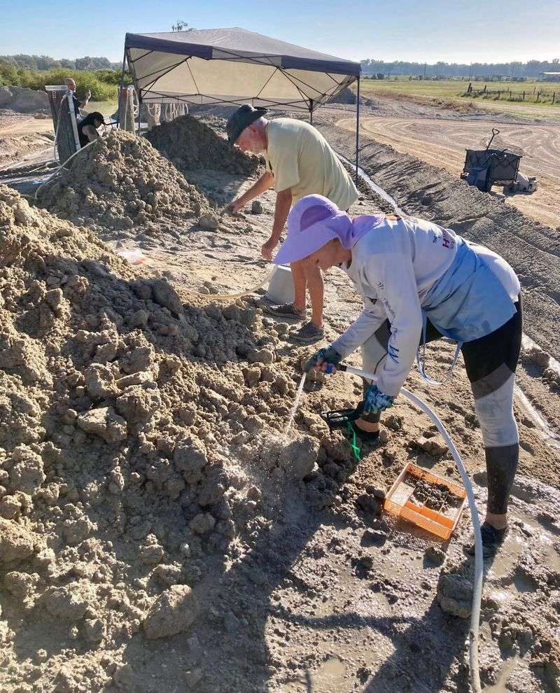 Hose Down A Mud Pile And Watch Ancient Shark Teeth Appear