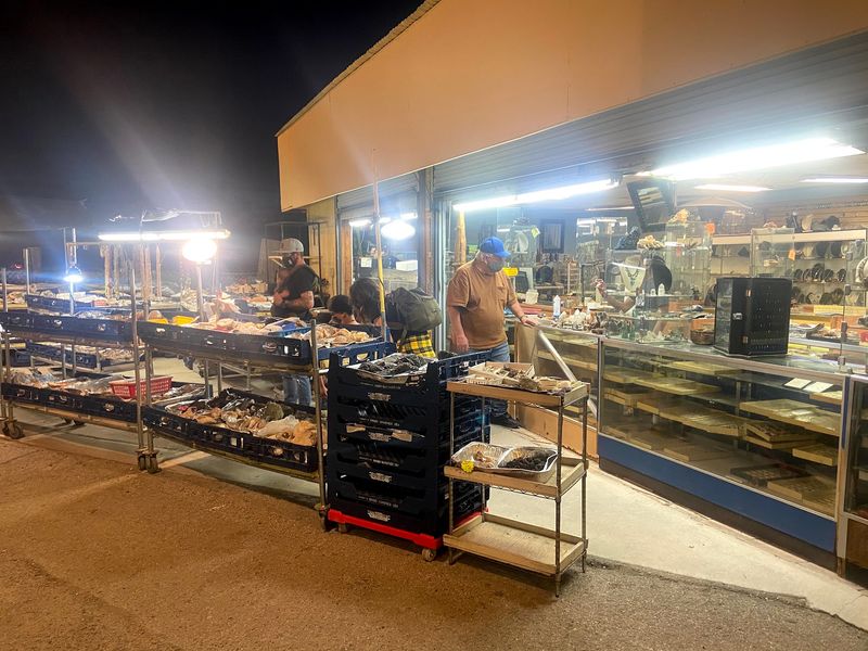 Hours, Admission, And Cash-Only Basics