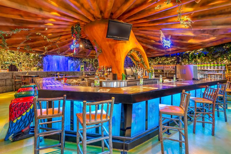 Price Range And Value For Money