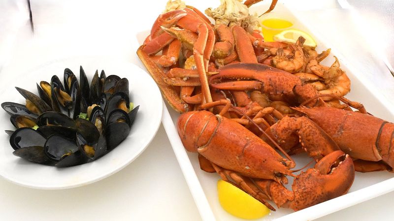 Overall Experience And Why It Is Worth The Drive