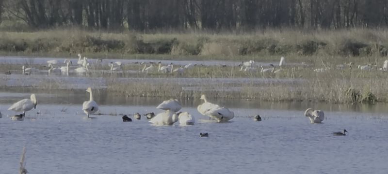 Hours, Directions, and Timing Tips