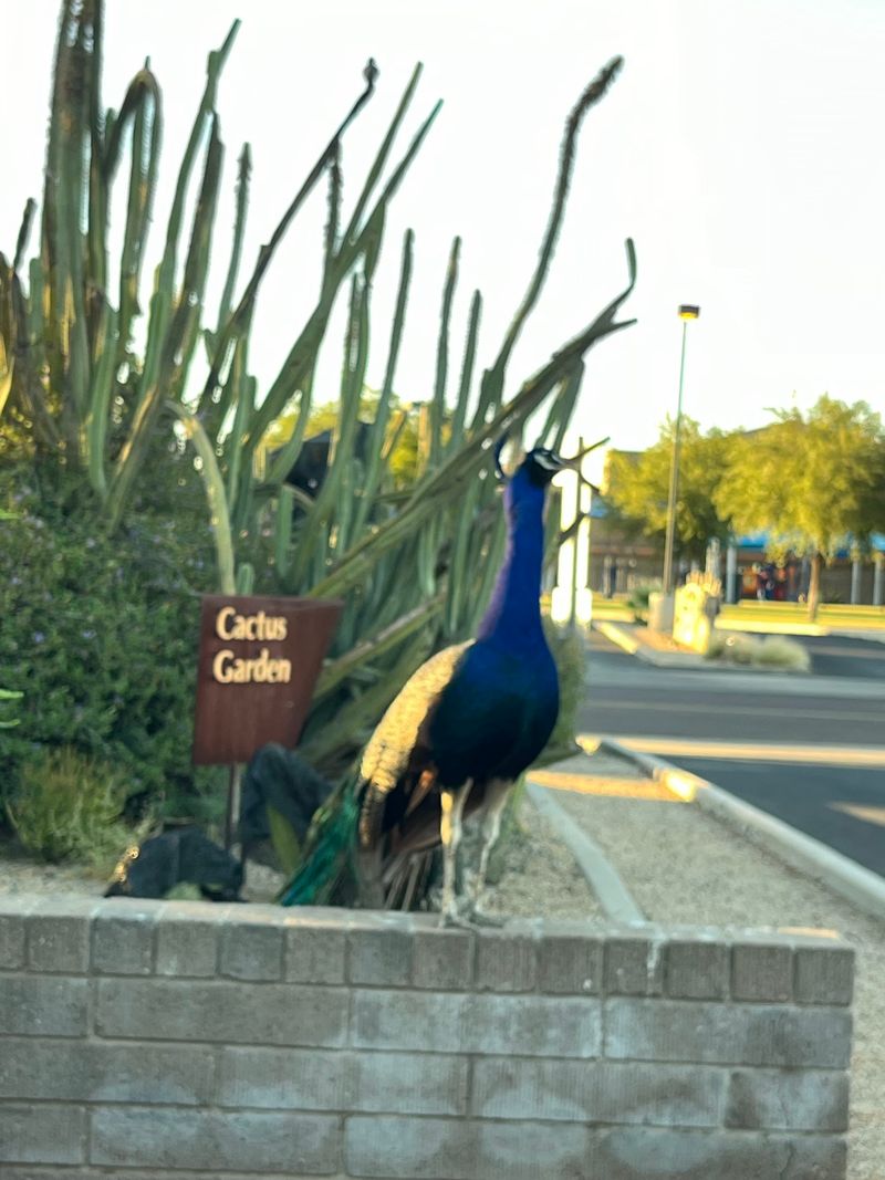 Hours, Free Entry, And Easy Parking