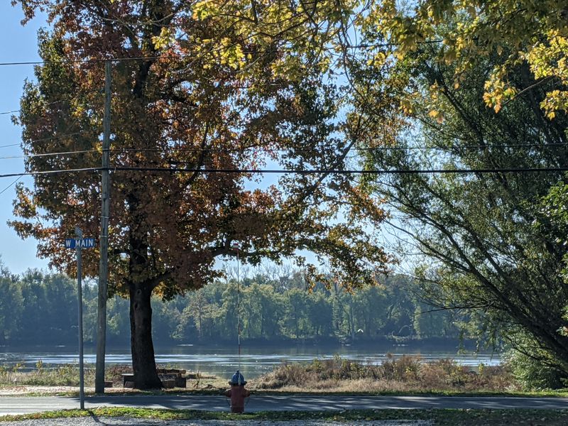 Unique Features And Local Character