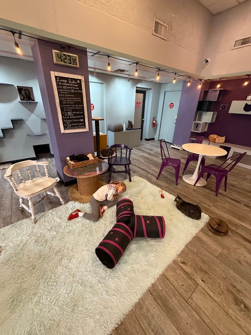 Events, Community, And The Bigger Picture