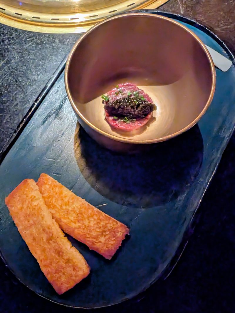 Overall Experience And Who Will Love It