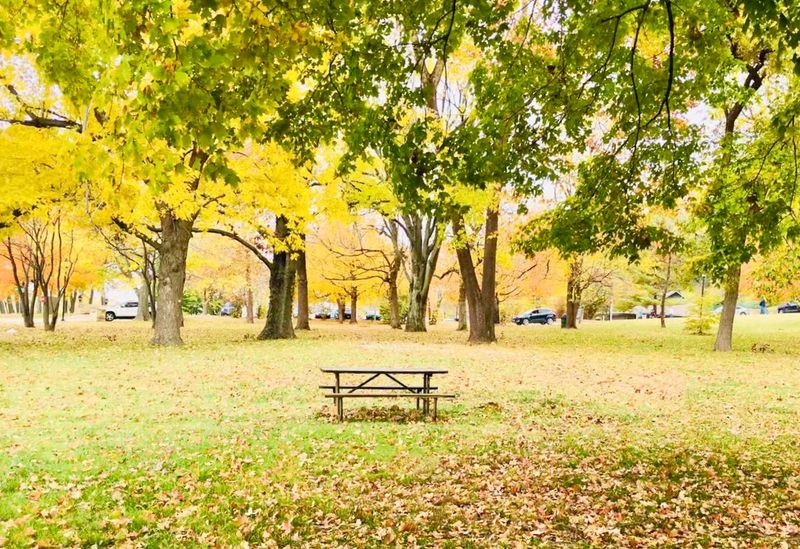Hours, Parking, And A Gentle Nudge To Go