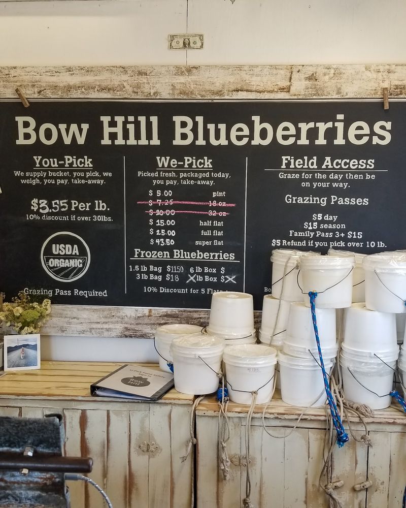 Hours, Prices, And Planning Your Visit