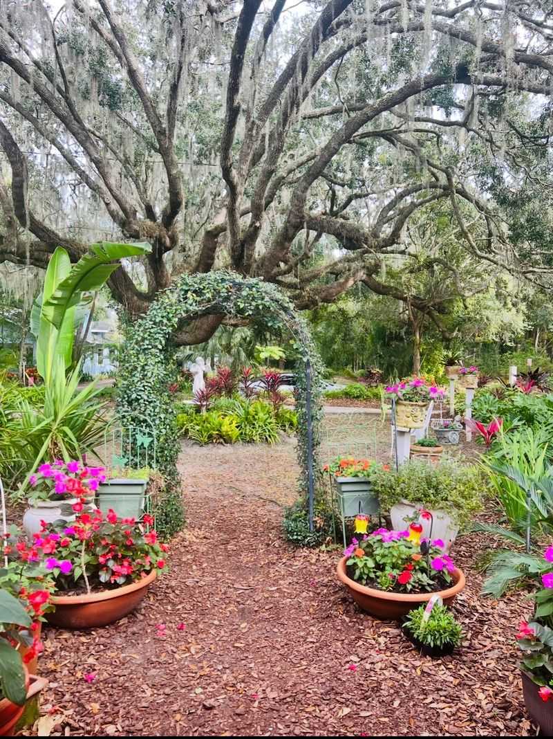 Tips For First-Time Visitors