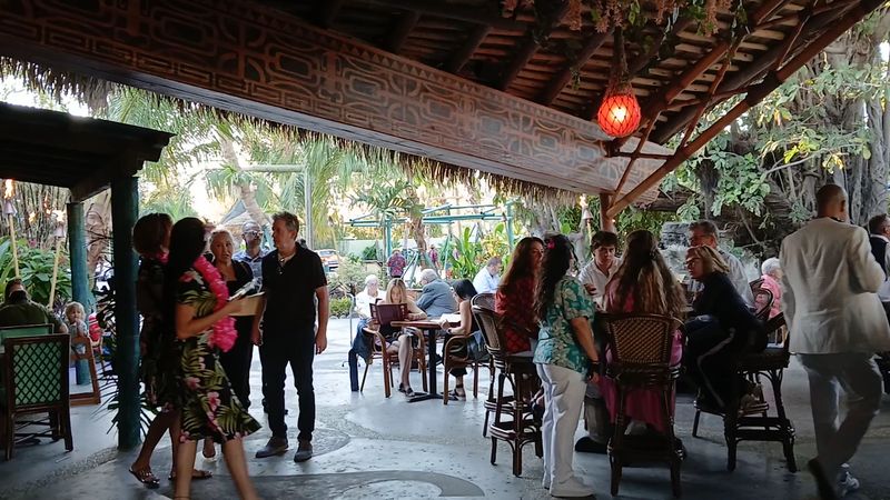 Price Range, Value, And Practical Tips