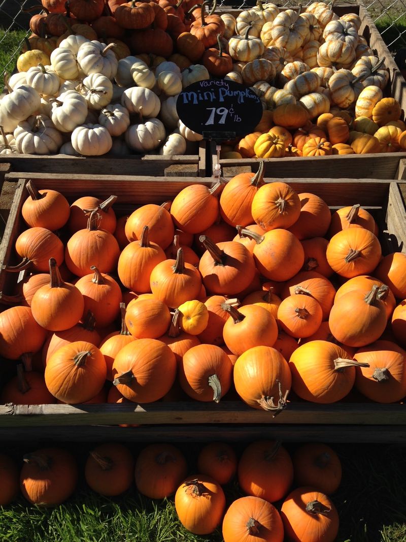 Hours, Seasons, And A Few Smart Shopping Tips