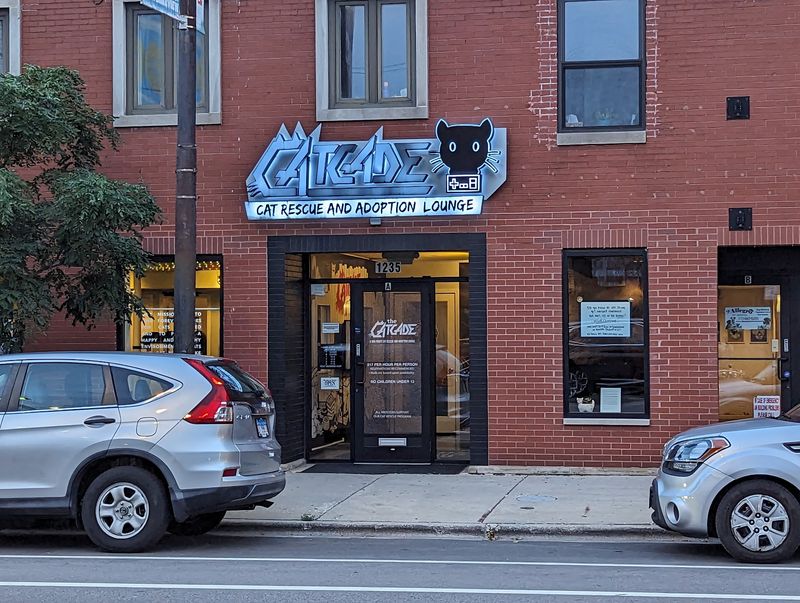 Hours, Tickets, And Belmont Avenue Parking Tips