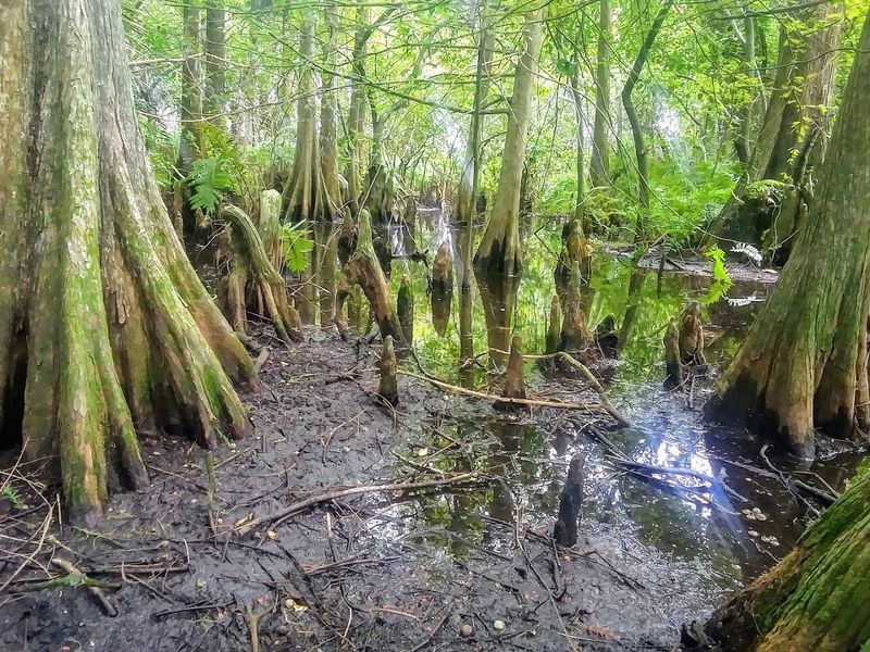 What Makes This Place Better Than A Zoo