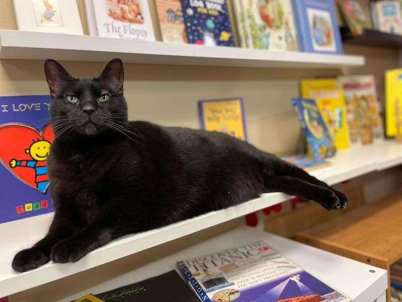 BookMarx Bookstore, Steubenville