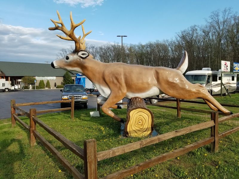 Steak Box Reality Check