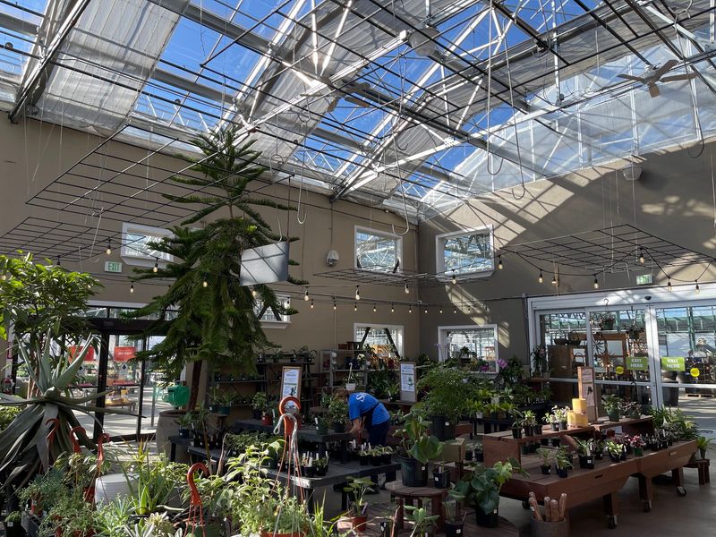 Houseplant Heaven For Indoor Jungle Builders Houseplant Heaven For Indoor Jungle Builders