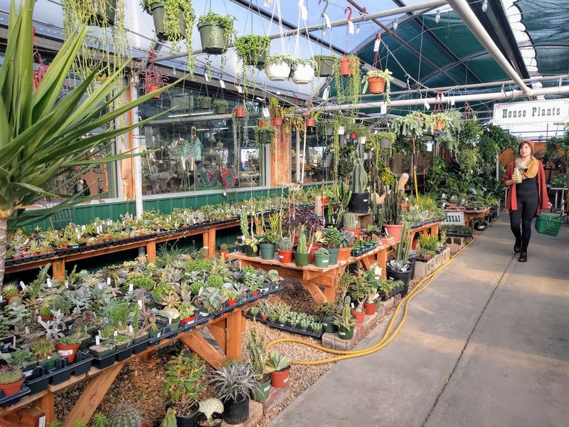 Houseplants, Perennials, Seeds, And Gifts Keep Browsing From Feeling Like Homework