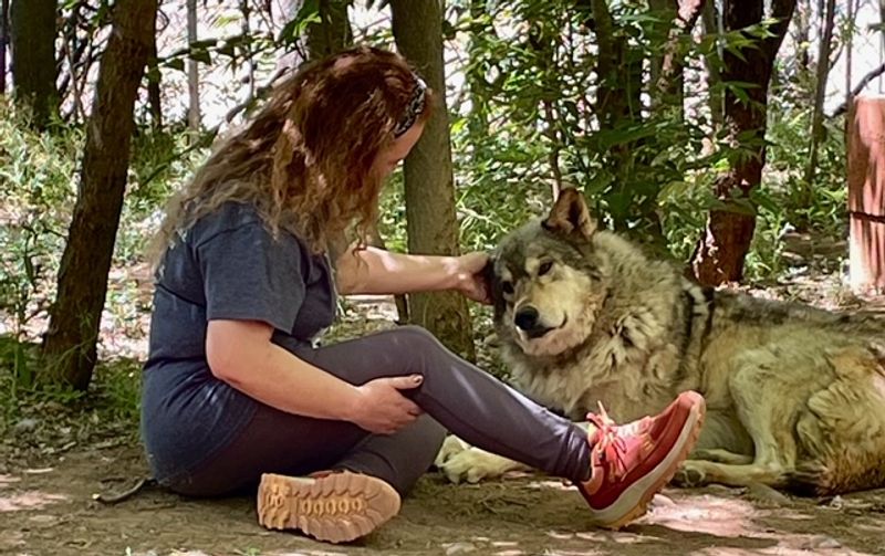 How A Shaman Named HealingWolf Started It All
