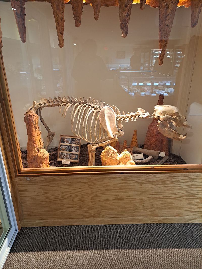 How An Eight-Year-Old Collector Built A Legend