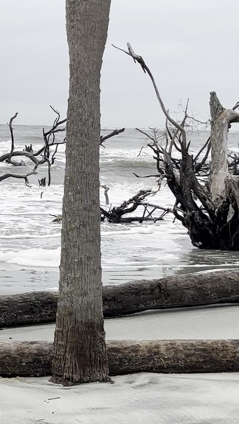 How Coastal Erosion Created This Dramatic Landscape How Coastal Erosion Created This Dramatic Landscape