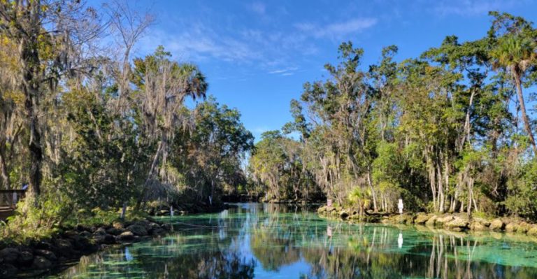 How Crystal River Became Florida’s New Must-Visit Small Town