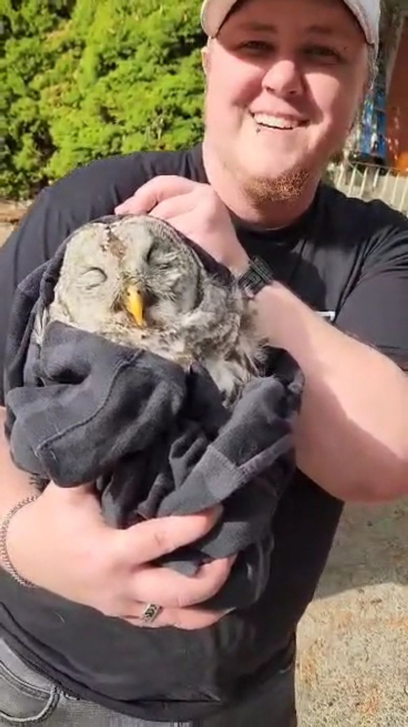 How Donations Keep the Rescues Going