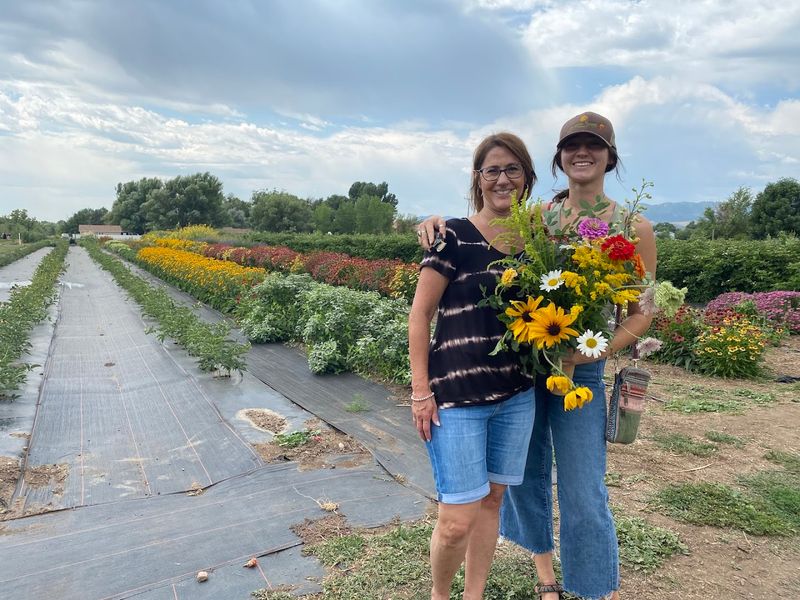 How Garden Sweet Fits Into A Real Fort Collins Saturday