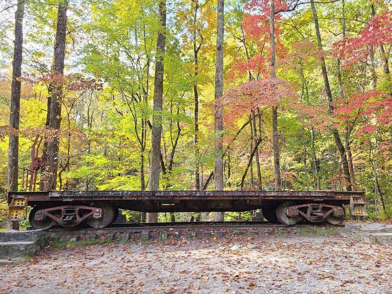 The Cheese Cave Chapter Nobody Expects