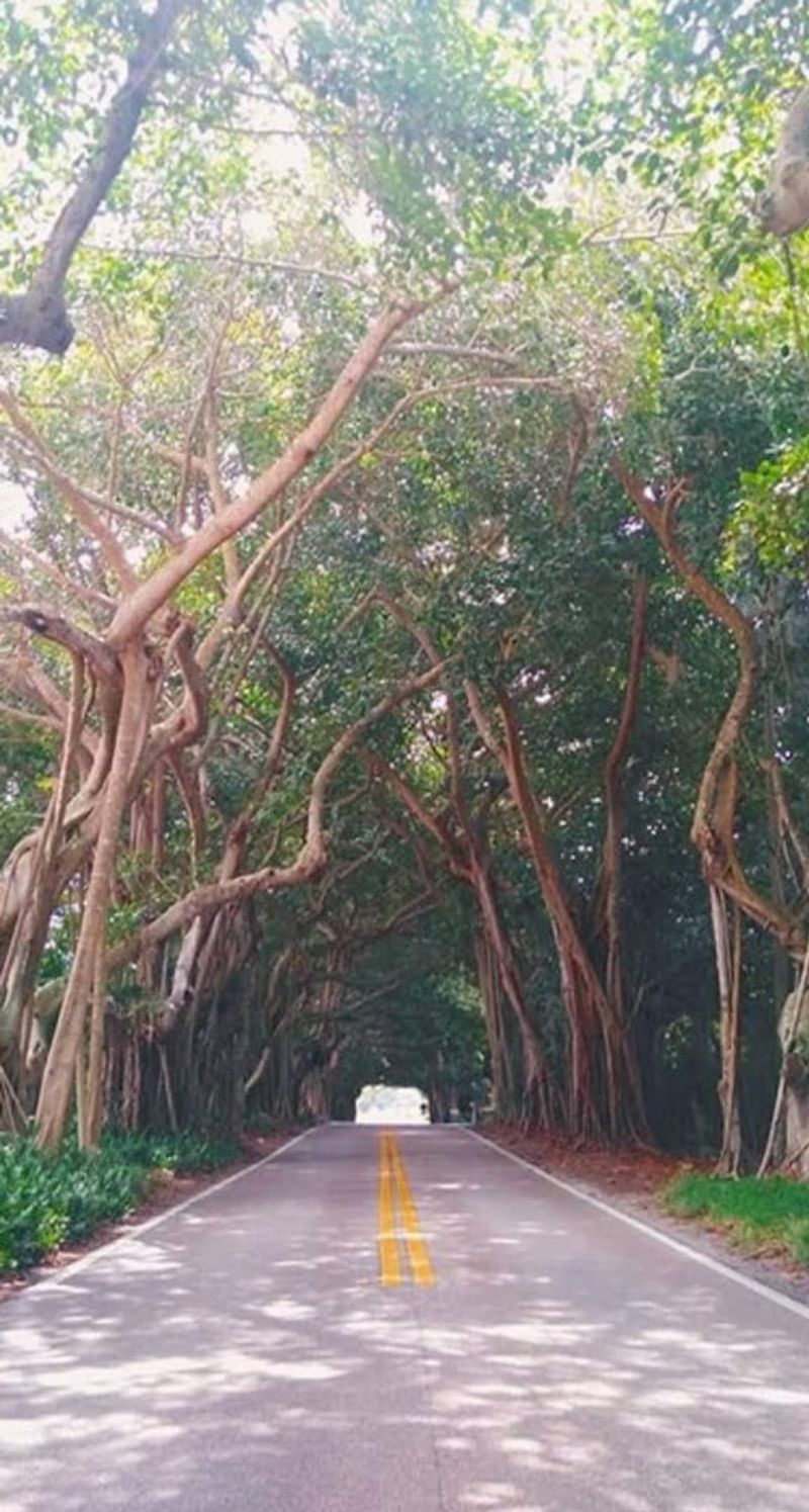 The Quiet Magic Of Driving Through At Night