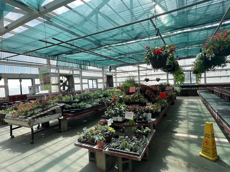 How Malara Gardens Fits Into A Real Saturday In Arvada