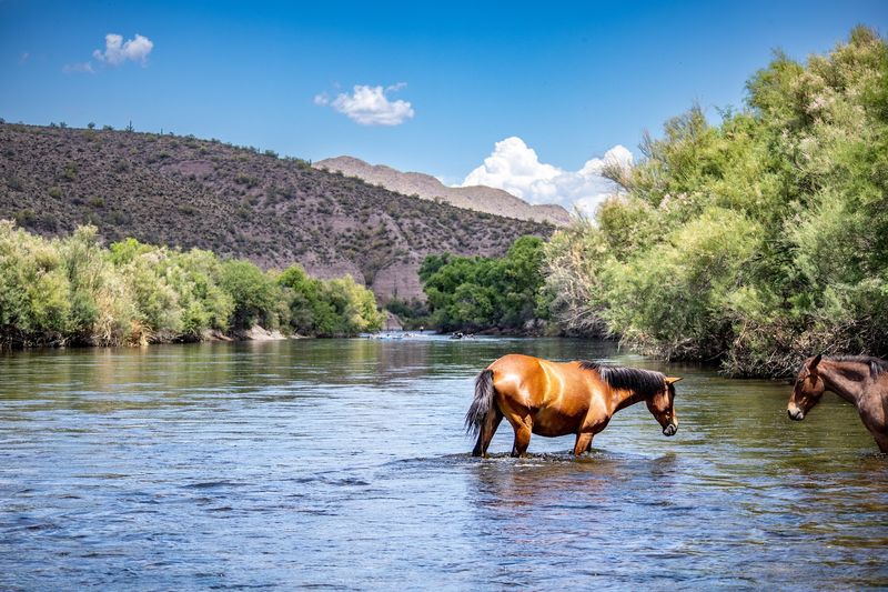 How Pebble Beach Became A Favorite Salt River Escape