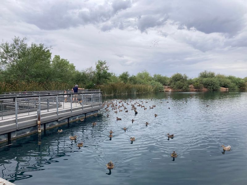 How Recycled Water Built a Bird Paradise