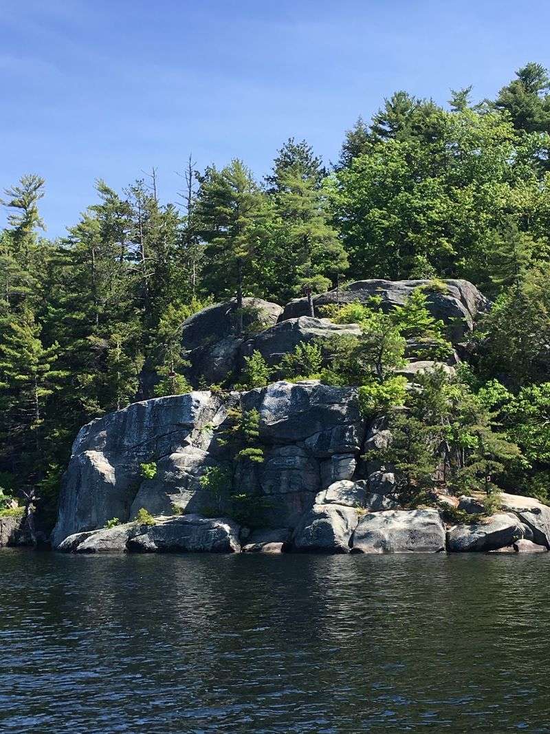 How Snakes Keep The Lake Healthy