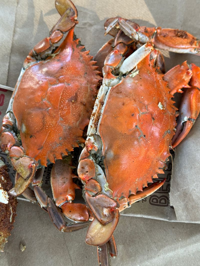 The First Plate You Should Grab When You’re Starving