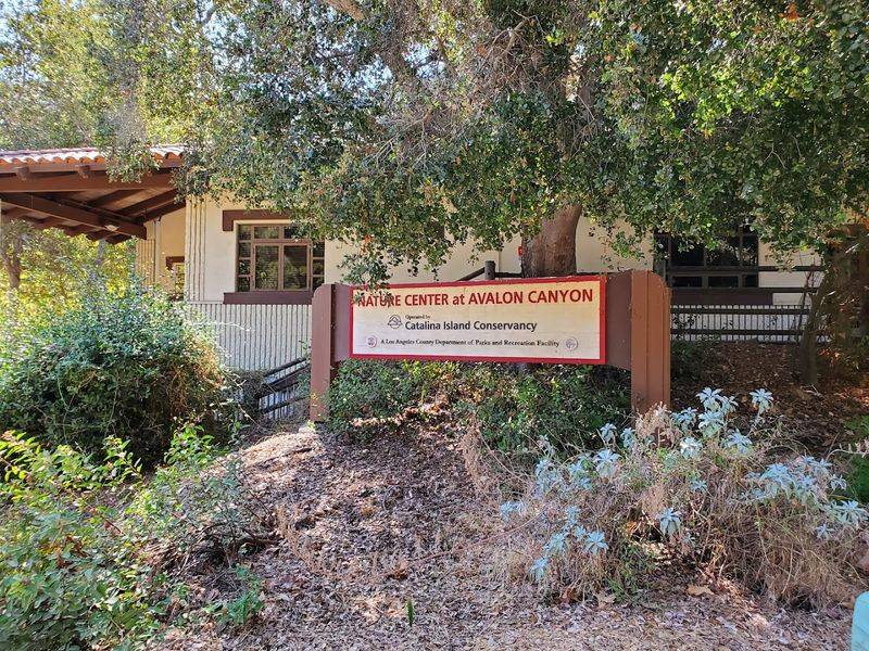 How The Catalina Island Conservancy Stepped In How The Catalina Island Conservancy Stepped In