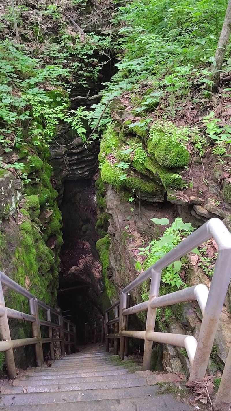 Entering Through A Sinkhole Staircase