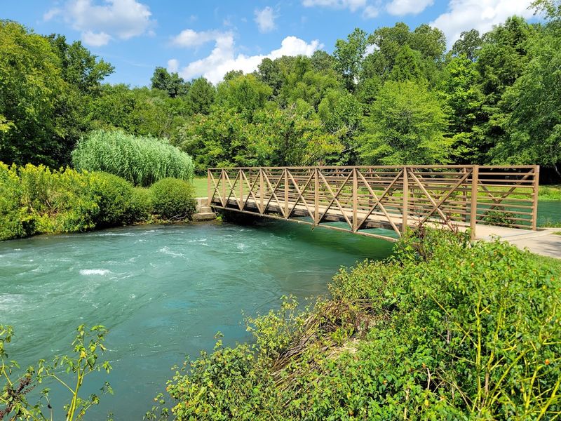 The Karst System Behind This Ozark Giant