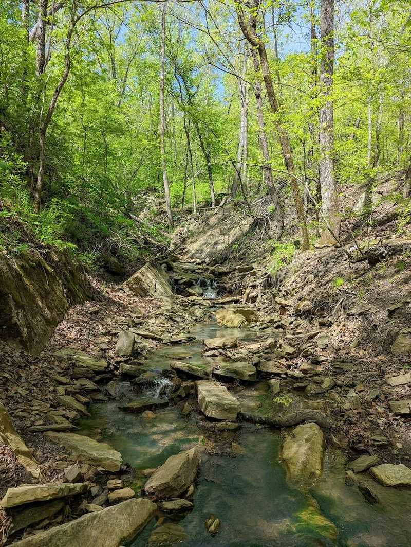 What You Can Spot Along The Trail