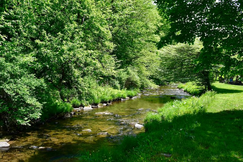 The Trails And Natural Beauty Surrounding The Site