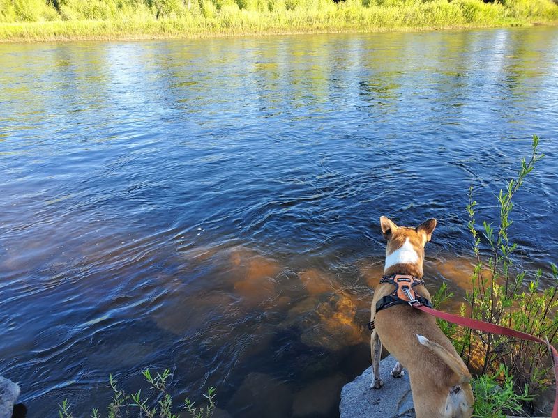 How The Preserve Fits Into A Real Weekend Without Overcomplicating Things