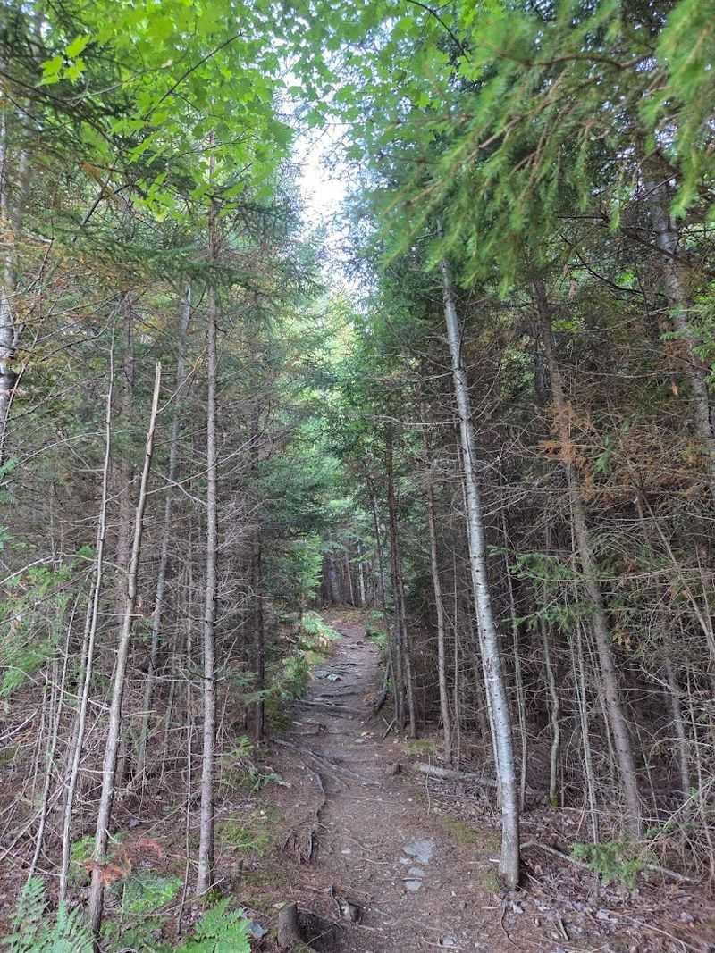 Best Times Of Year To Plan Your Visit