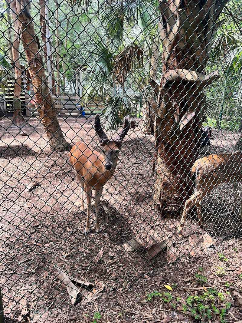 The No-Photography Policy And Why It Actually Works