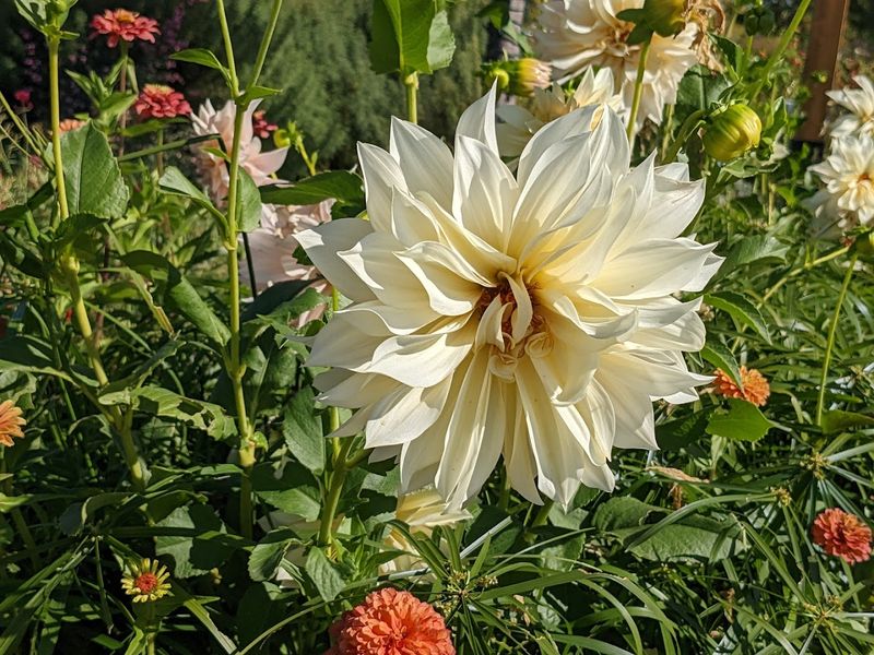 Final Verdict: This Is the Spring Stop Colorado Has Been Hiding