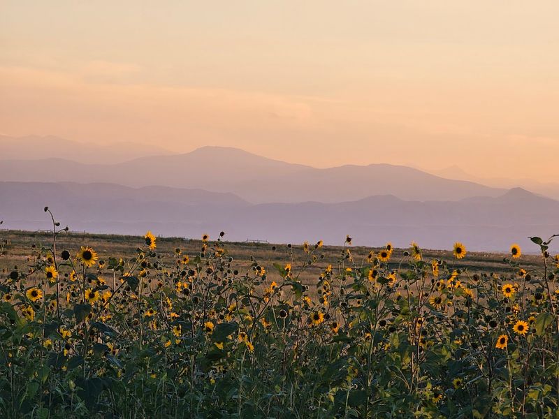 How To Build A Satisfying Half-Day Around The Refuge How To Build A Satisfying Half-Day Around The Refuge