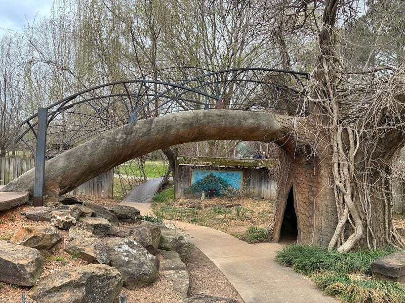 What To Know Before You Arrive