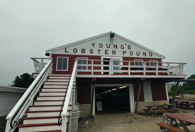 How To Do Young’s Right